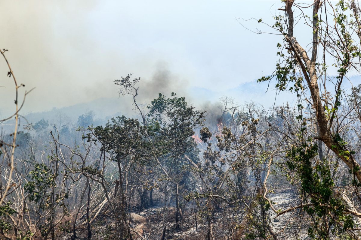 Incendios forestales azotan a la ciudad mexicana de Acapulco tras 6 meses del huracán Otis