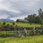 Indonesia evacúa a más de 800 personas de una isla por el aumento de actividad volcánica