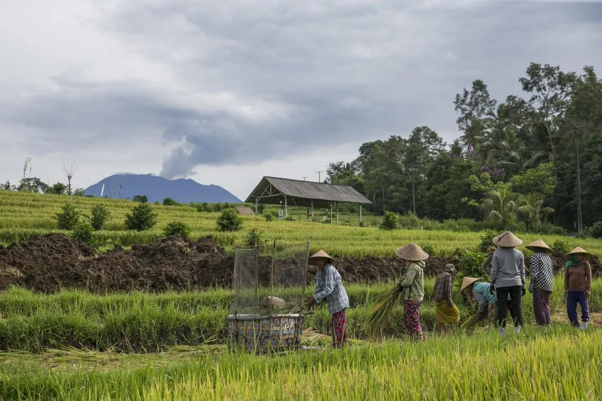 Indonesia evacúa a más de 800 personas de una isla por el aumento de actividad volcánica
