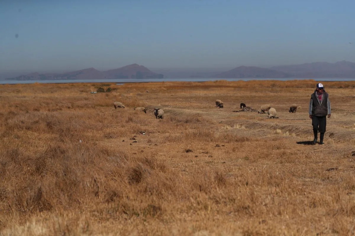 La sequía daña miles de toneladas de soya y las exportaciones descienden en Bolivia