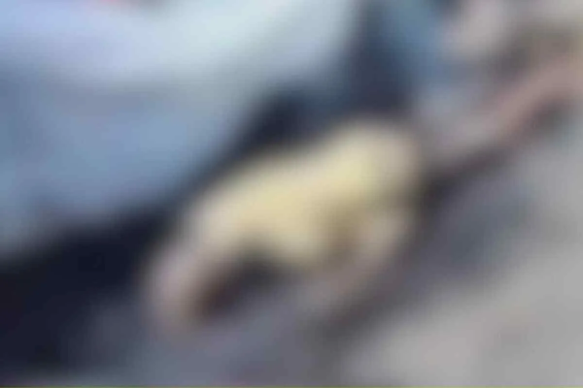 San Bernardo del Viento: Mariano Racines muere calcinado tras sufrir un infarto mientras quemaba basura