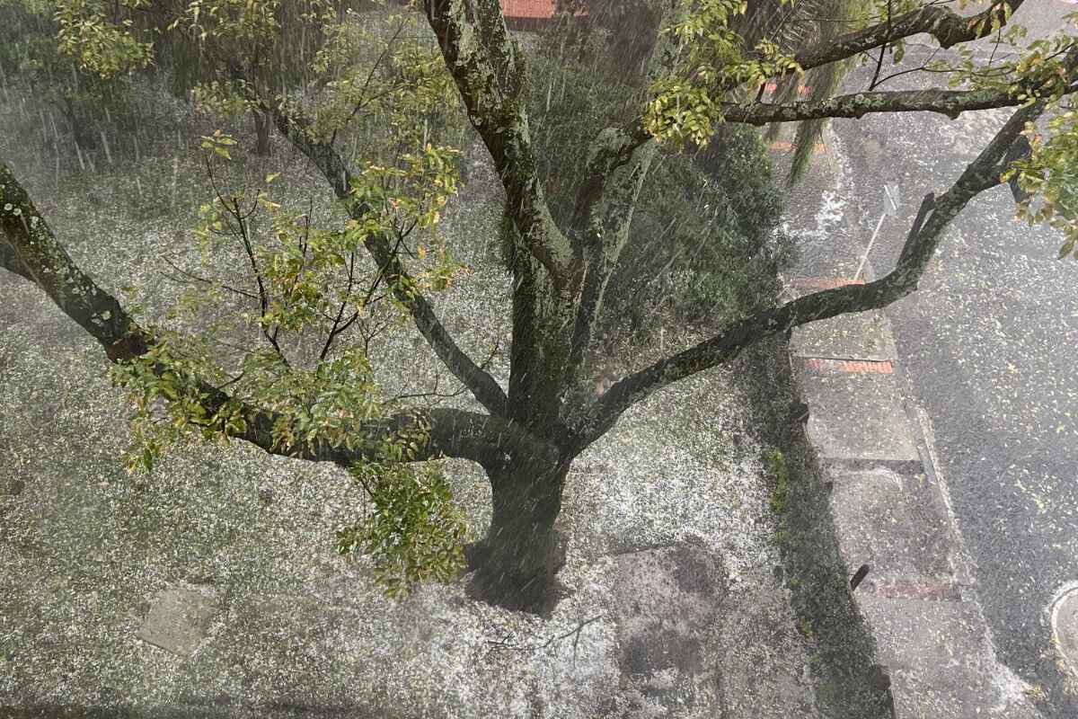 ¡Caos por lluvias en Bogotá! Fuerte granizada inunda calles y centro comercial Unicentro-🚨 Alerta del Ideam: Fenómeno de 'La Niña' afectará varias regiones del país desde septiembre. Caribe, Andina y Pacífica entre las más afectadas. ¿Estás preparado? #Clima2024 #LaNiñaColombia