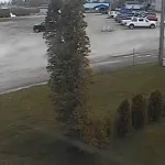Fiesta de cumpleaños termina en tragedia: Conductora ebria mata a dos hermanos pequeños en Berlin Township, Michigan