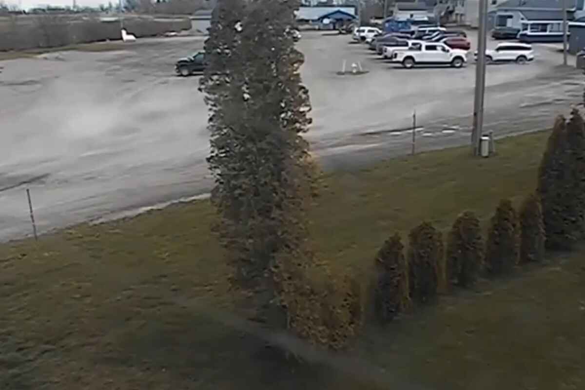 Fiesta de cumpleaños termina en tragedia: Conductora ebria mata a dos hermanos pequeños en Berlin Township, Michigan