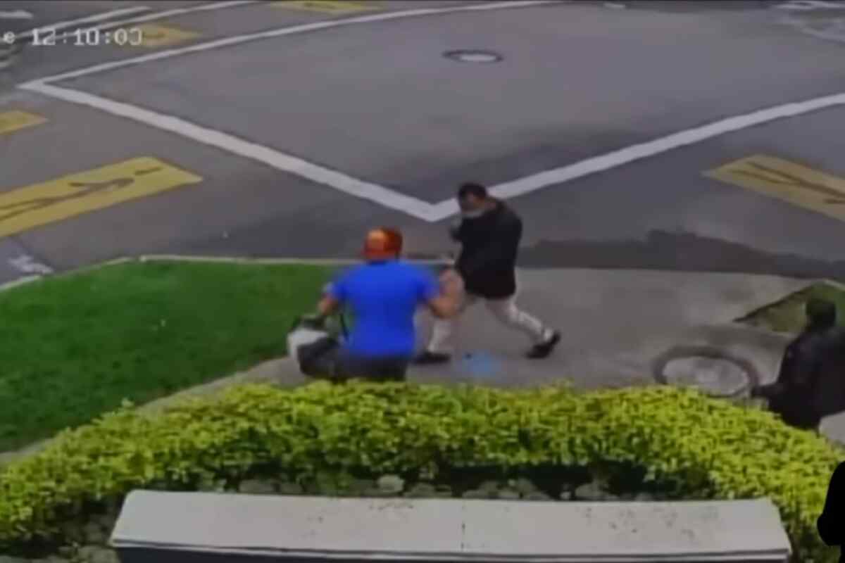 Ladrón armado no contaba con la valentía de Limón, el perro que frustró un robo en Bogotá