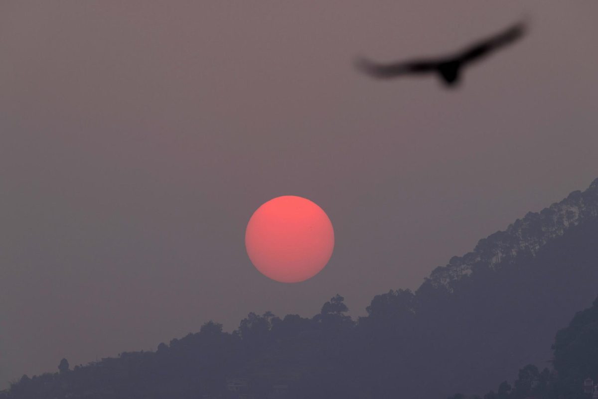 Al menos doce muertos por incendios forestales en Nepal en el último mes