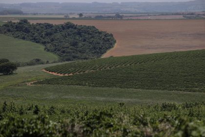 Brasil mejora la previsión de la cosecha, pero sin medir aún el daño de las inundaciones