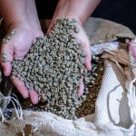 Brasil registra en abril un nuevo récord de sus exportaciones de café