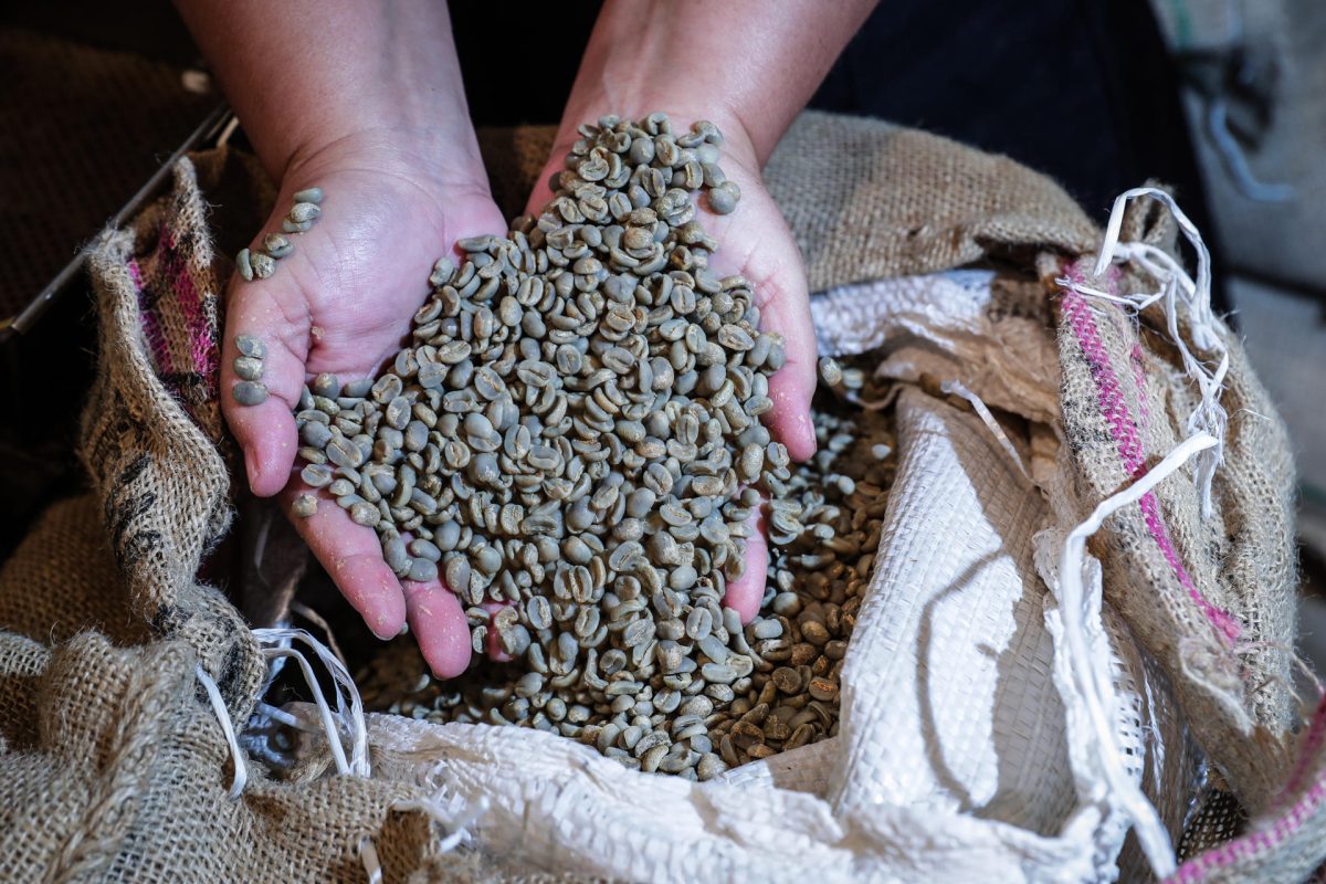 Brasil registra en abril un nuevo récord de sus exportaciones de café