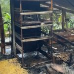 Llamas Devoran 100 Gallinas en Cocorná: Incendio Destruye Galpón Avícola
