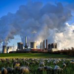 Más de 30 científicos cuestionan los protocolos de compensación por emisiones de carbono