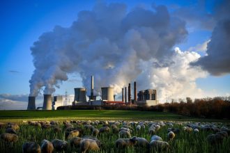 Más de 30 científicos cuestionan los protocolos de compensación por emisiones de carbono