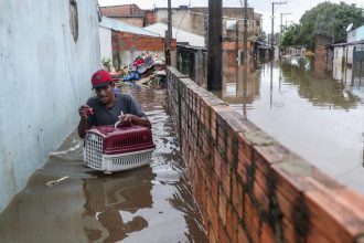 Rescate en la Porto Alegre inundada - Yo sin mi gato no me voy