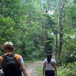 Córdoba: Campesinos Reciben Predios en Pueblo Nuevo, Incautados al Clan del Golfo