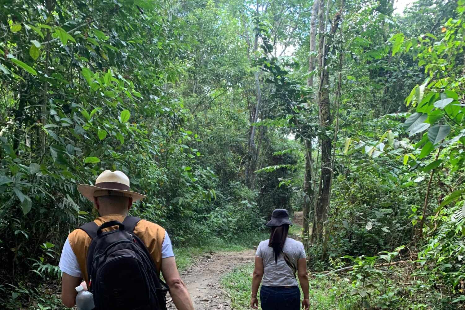 Córdoba: Campesinos Reciben Predios en Pueblo Nuevo, Incautados al Clan del Golfo