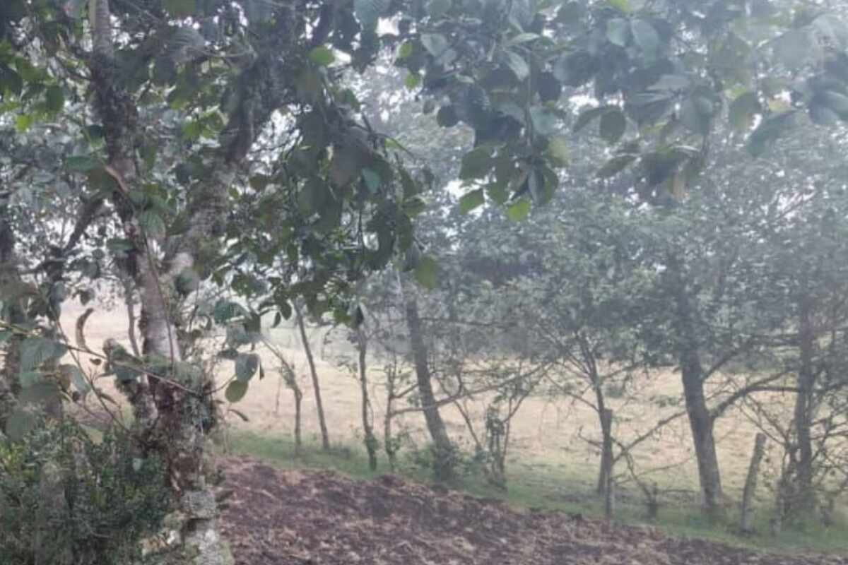 Encuentran dos cadáveres en Chapinero: ambos fueron víctimas de violencia extrema-cerros orientales