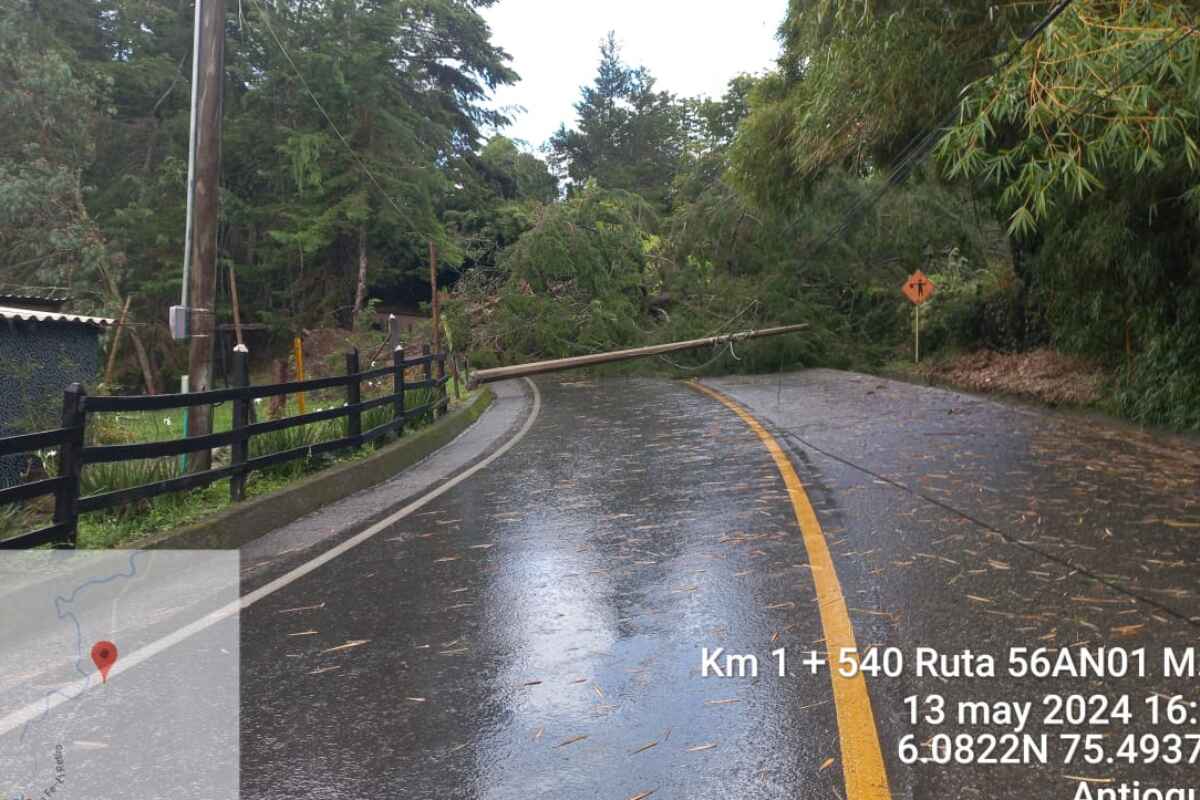 Lluvias causan estragos en El Retiro: Caída de árboles bloquea vías y genera caos vehicular