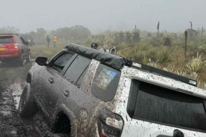 Rally Clandestino Destruye Frailejones y Fuentes Hídricas en el Páramo Cruz Verde