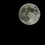 Ciclos Lunares: Guía Práctica para Aprovechar su Poder en Cada Fase