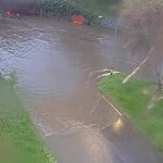 Inundaciones, caída de árboles y un aparatoso accidente deja fuerte aguacero en Medellín