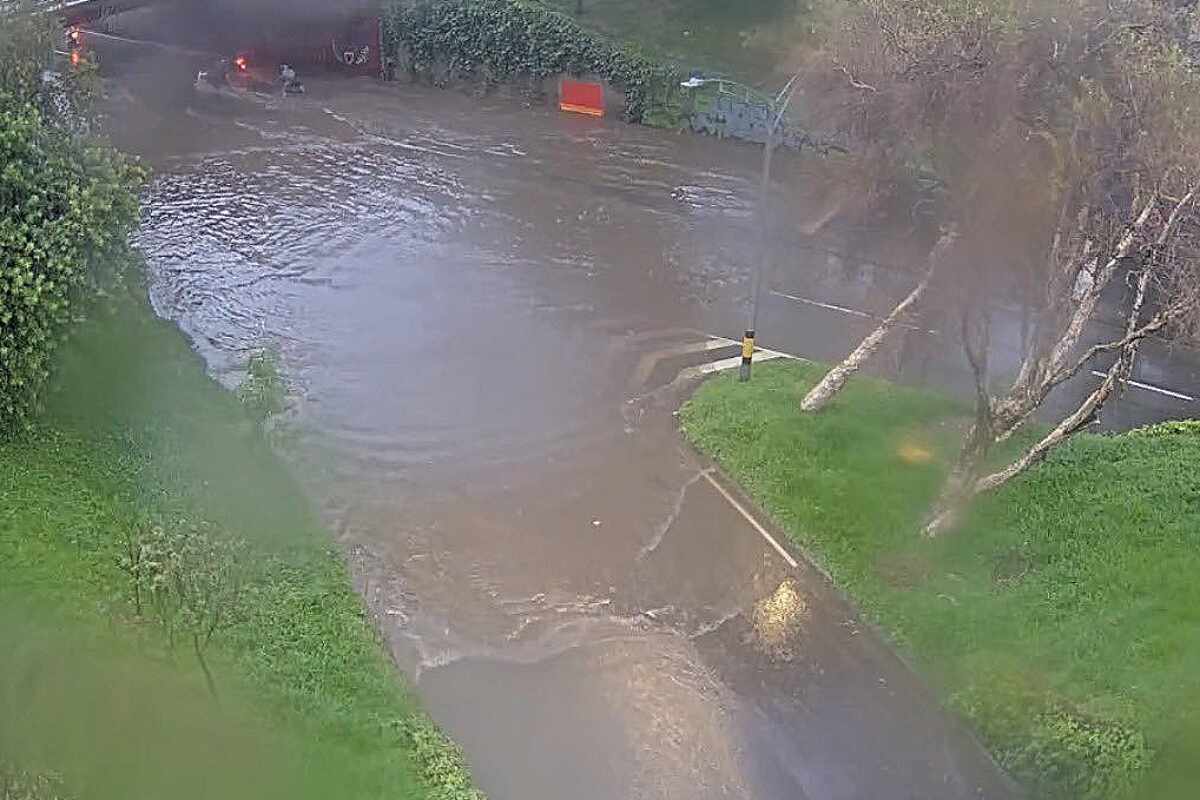 Inundaciones, caída de árboles y un aparatoso accidente deja fuerte aguacero en Medellín