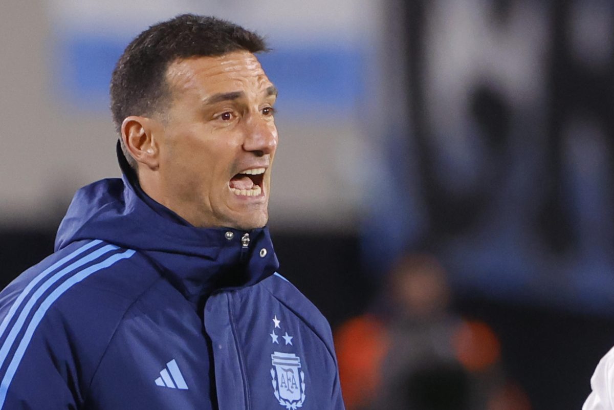 Argentina renueva su apuesta por 'la Scaloneta'