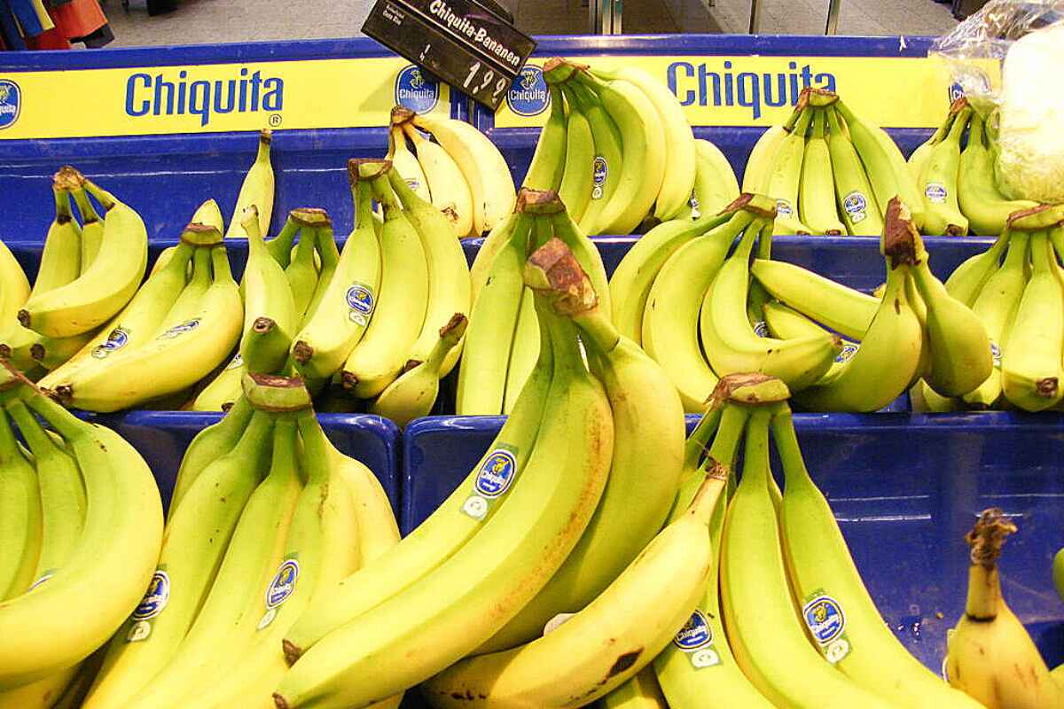 Multinacional Chiquita Brands Hallada Culpable de Financiar Grupos Paramilitares en Colombia