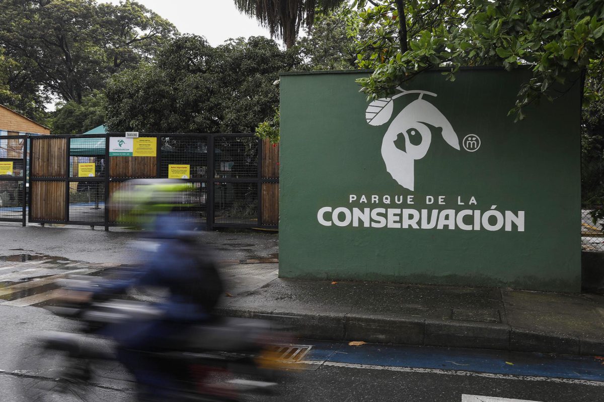 El Parque de la Conservación, el pulmón verde de Medellín que protege a la fauna silvestre