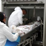 Hallan muerto a turista estadounidense en un hotel de El Poblado