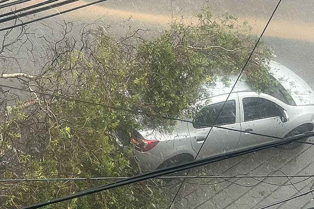 Aguacero en Medellín causó caos vial y caída de árboles: Autopista Norte y deprimido de la Feria de Ganado afectados