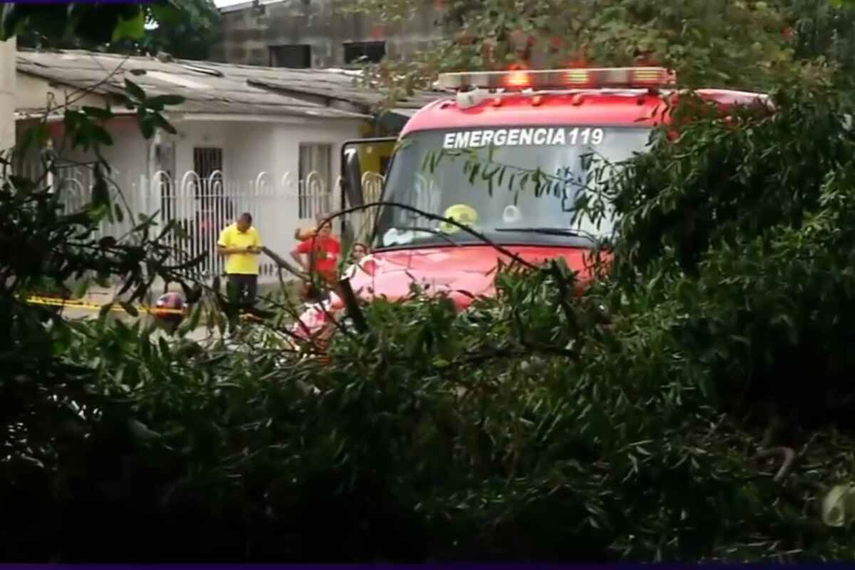 Mujer muere aplastada por un árbol en Barranquilla mientras esperaba el autobús