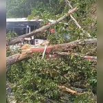 ¡Milagro en la Autopista Medellín-Bogotá! Roca y árboles caen sobre bus de Coonorte, pero sus ocupantes salen ilesos