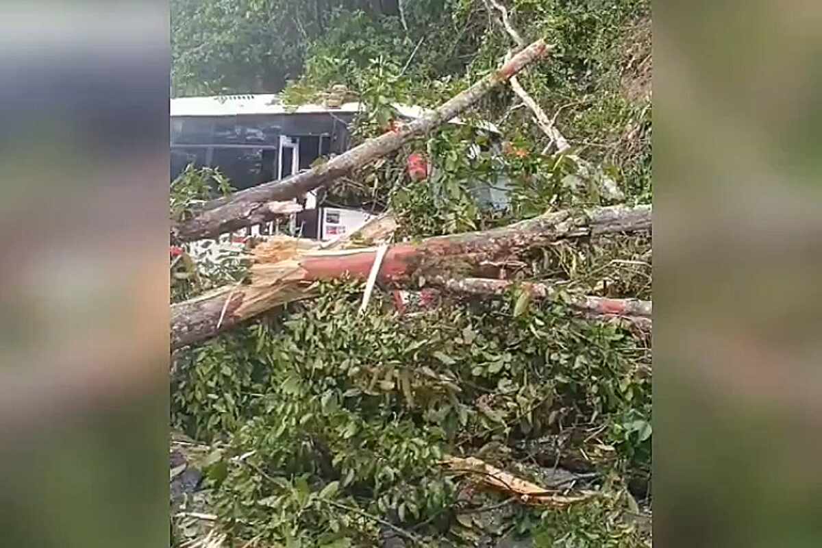 ¡Milagro en la Autopista Medellín-Bogotá! Roca y árboles caen sobre bus de Coonorte, pero sus ocupantes salen ilesos