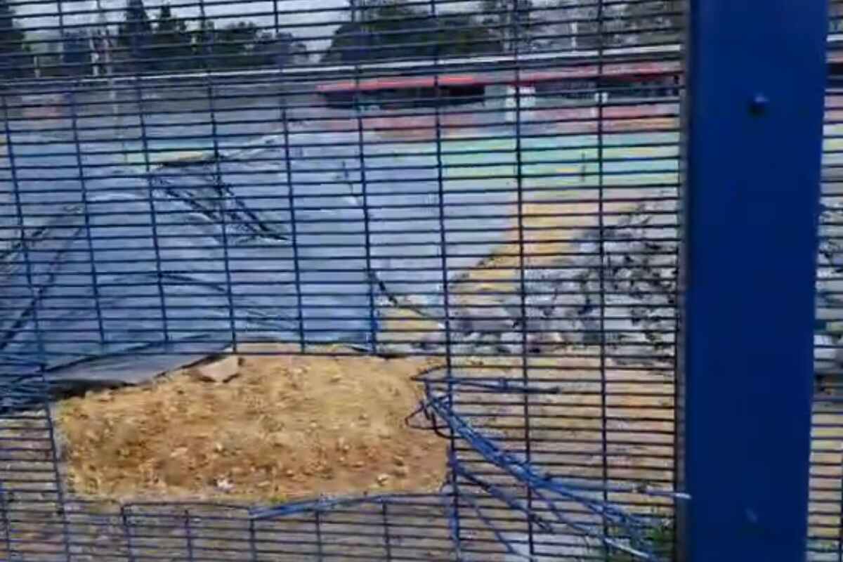 INPEC activa plan candado y ordena investigación tras fuga de presos en La Picota de Bogotá