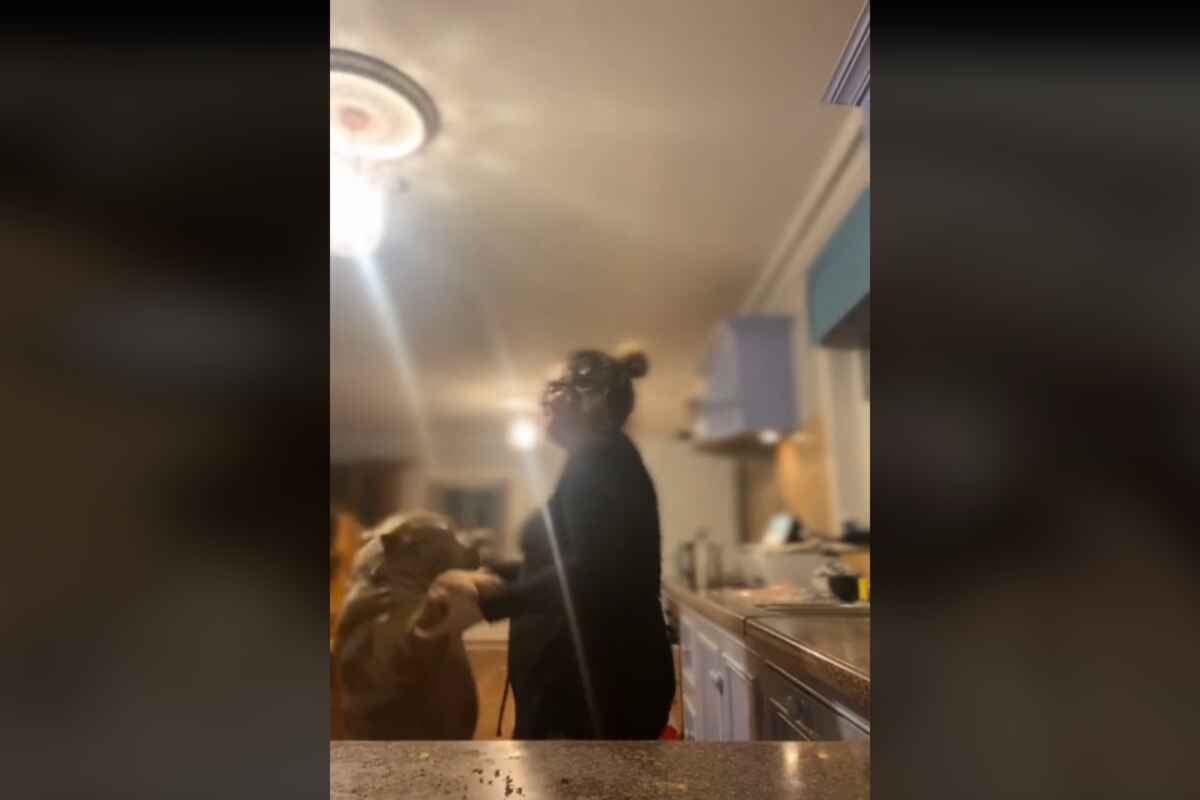 Perros de Raza Peligrosa Acaban con la Vida de su joven Dueña en Irlanda