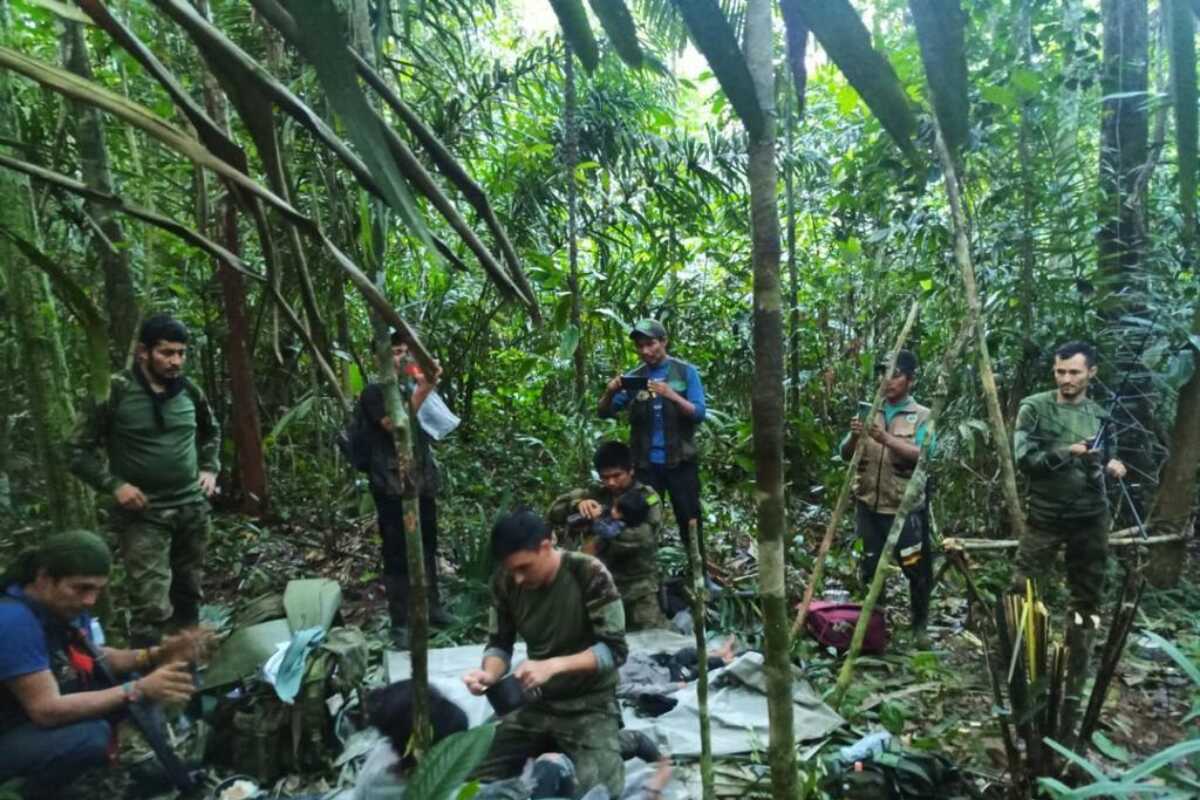 Un milagro en la Amazonía colombiana: la historia de los niños indígenas que sobrevivieron 39 días perdidos en la selva colombiana