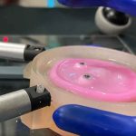 Científicos japoneses crean piel viva para robots, acercándolos a la realidad