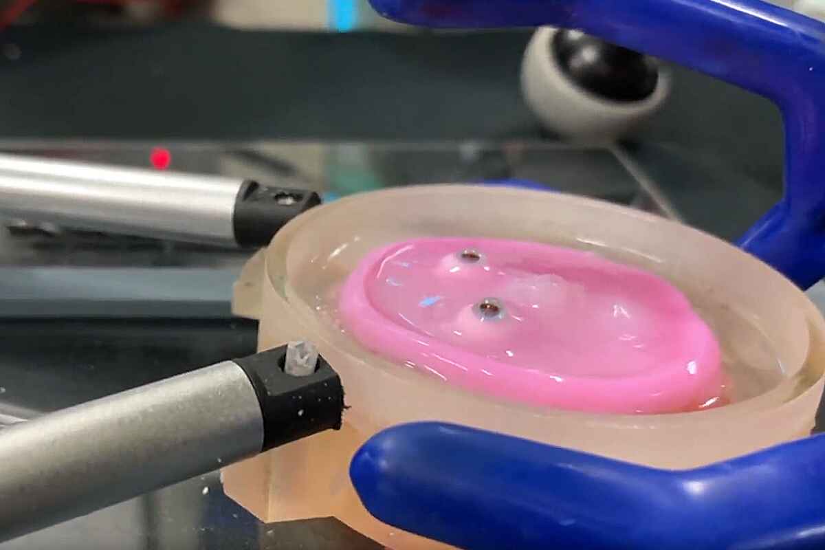 Científicos japoneses crean piel viva para robots, acercándolos a la realidad