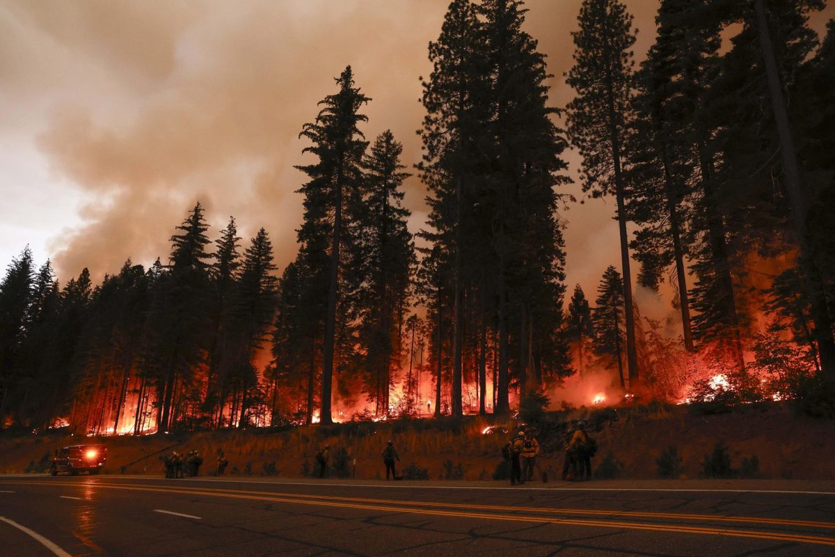 California y Canadá luchan contra incendios forestales sin control con miles de evacuados