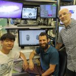 Descubren un nuevo circuito cerebral que detecta rápidamente las caras