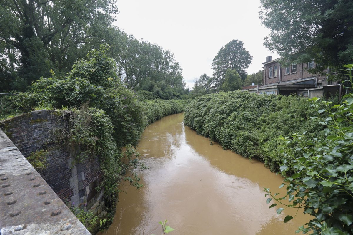 El río soterrado de Bruselas volverá en parte a la superficie tras 150 años oculto