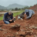 Las inundaciones en Brasil revelaron un fósil de dinosaurio de 233 millones de años