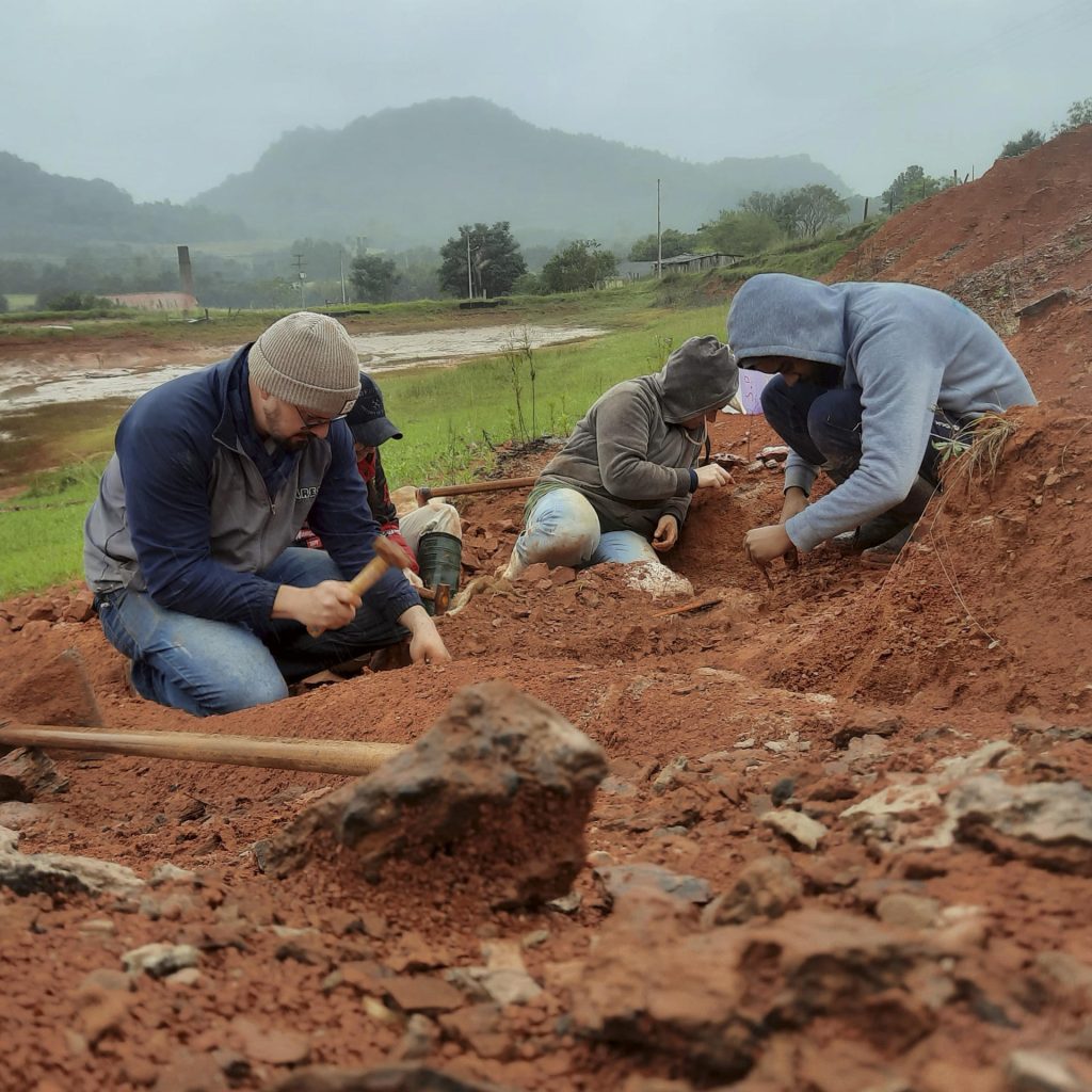 Las inundaciones en Brasil revelaron un fósil de dinosaurio de 233 millones de años