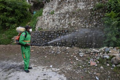 Más de 100 muertos por dengue en Centroamérica y el Caribe, con al menos 200.000 casos