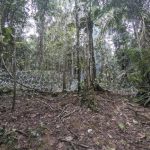 Panamá bloquea casi 5 kilómetros de pasos usados por migrantes en la selva del Darién