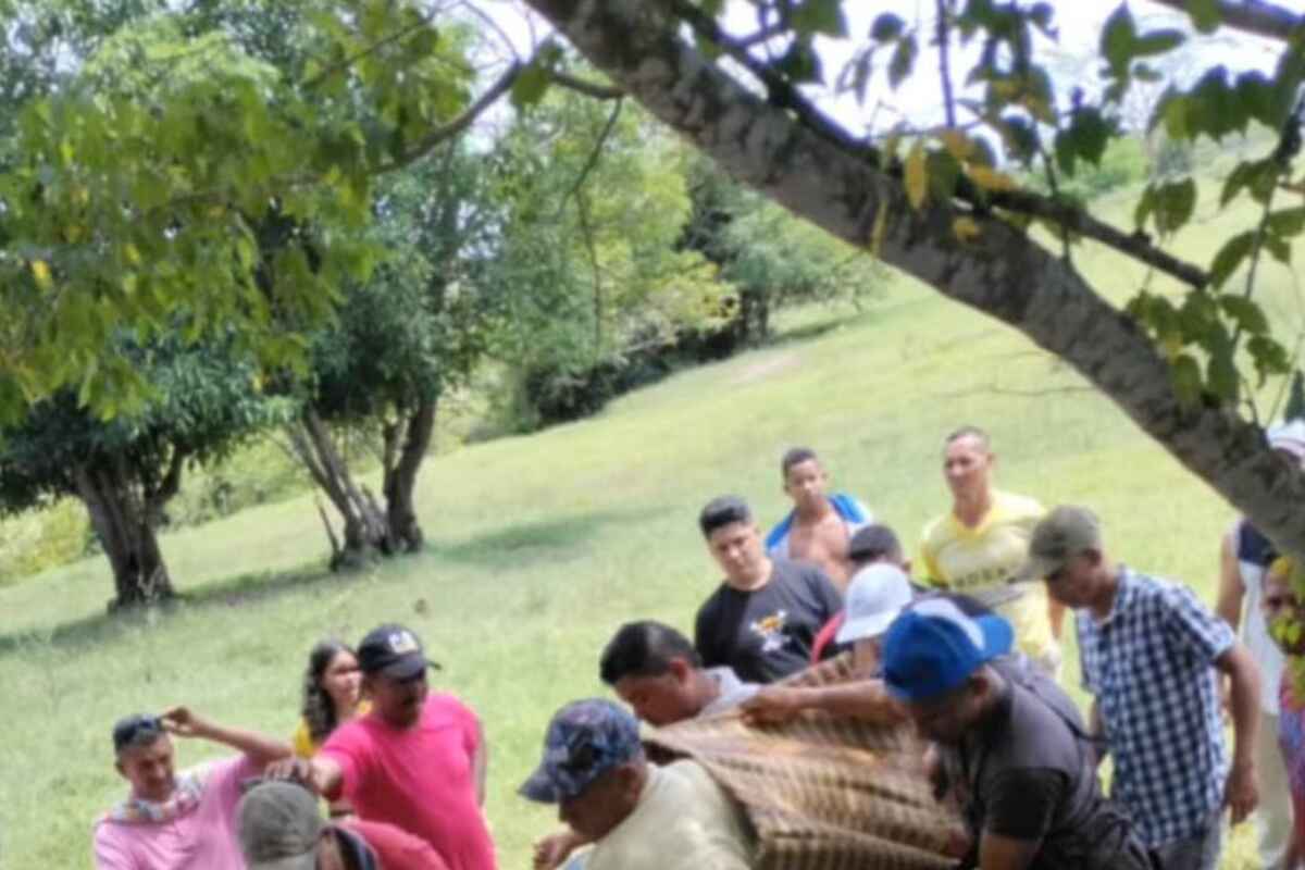 Van se estrella y cobra una vida en el departamento de Bolívar: Cinco heridos