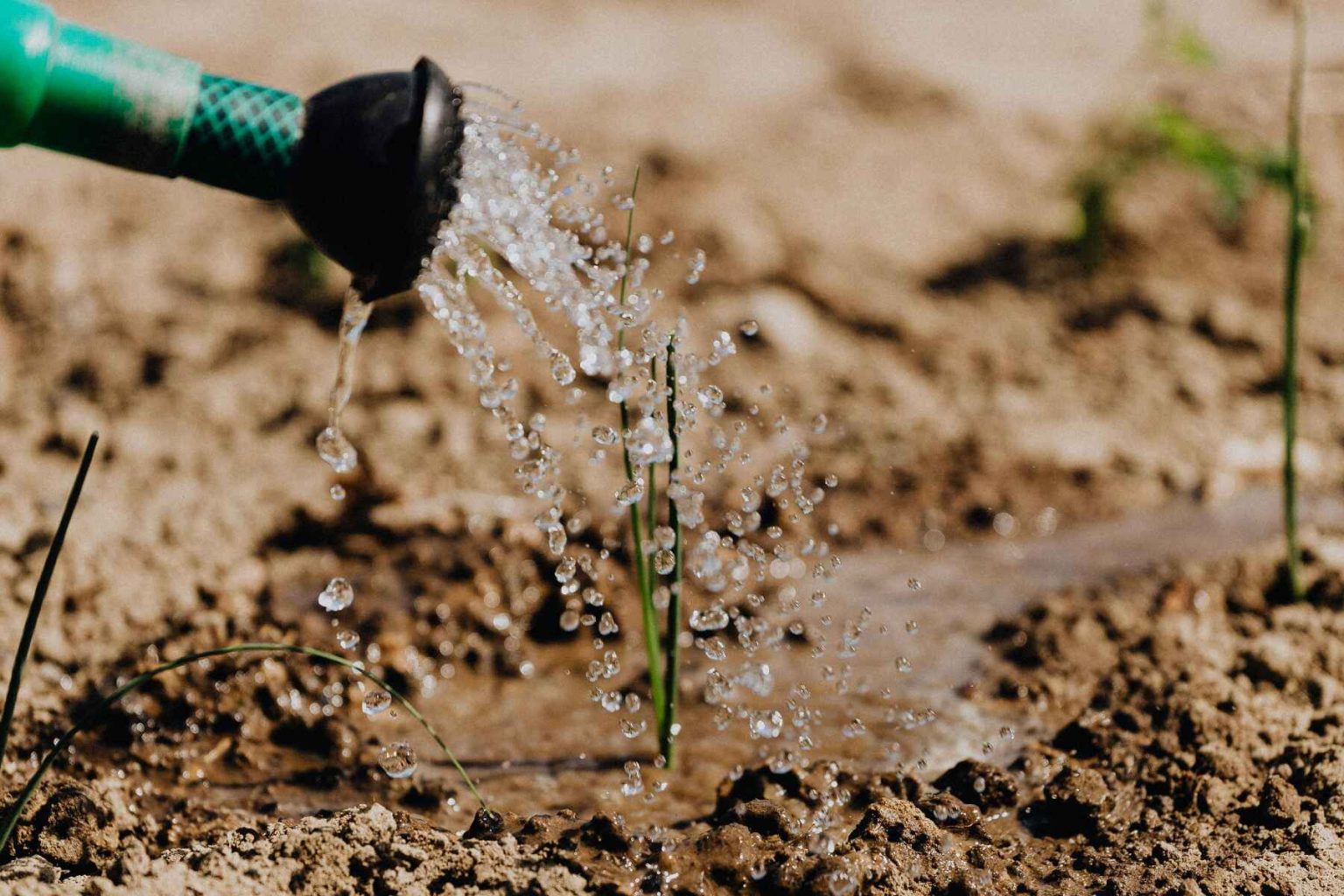 La Tierra bate récords: Nuevo pico de calor global con 17,15°C