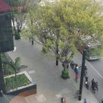 Tragedia en el norte de Bogotá: hombre cae desde lo más alto del edificio Itaú