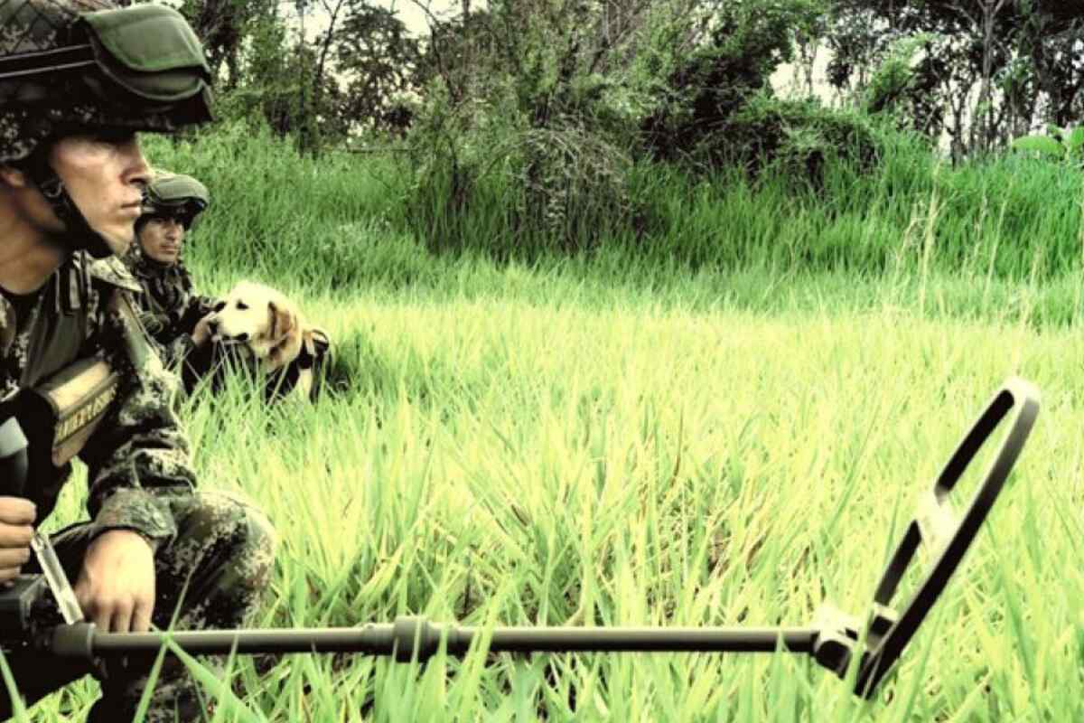 Tragedia en Antioquia: Seis militares muertos y cuatro heridos tras caer en campo minado