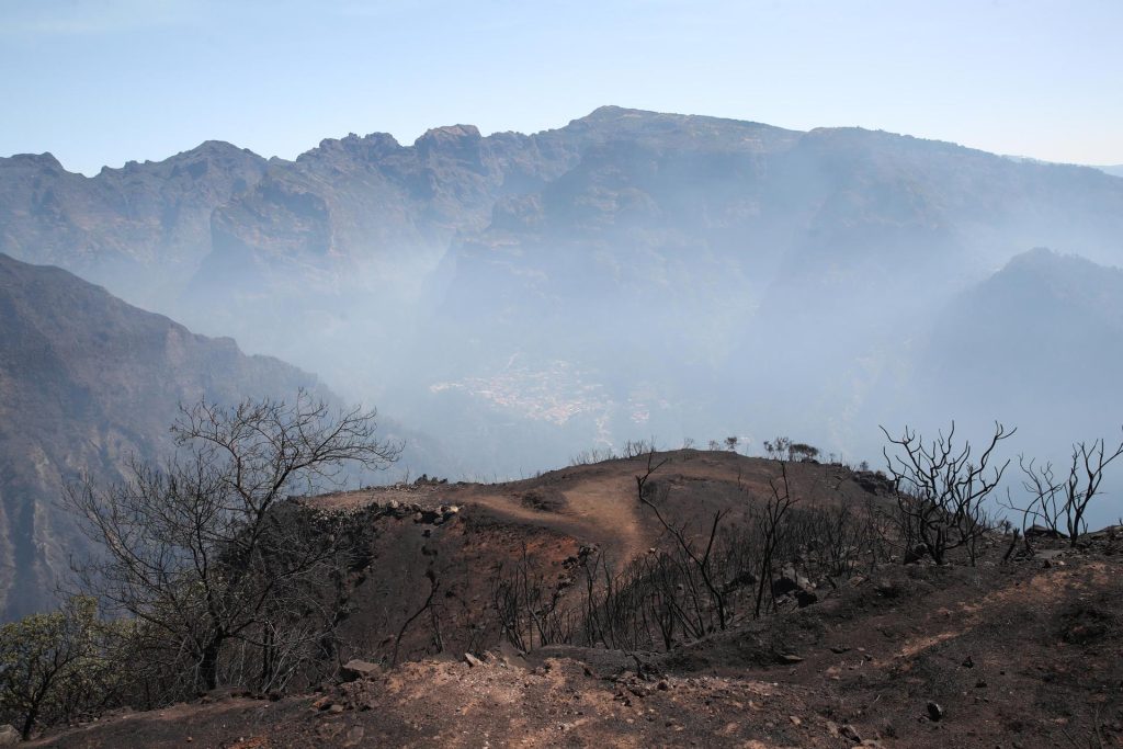 Dos focos activos en el incendio que ha consumido más del 6 % de la isla lusa de Madeira